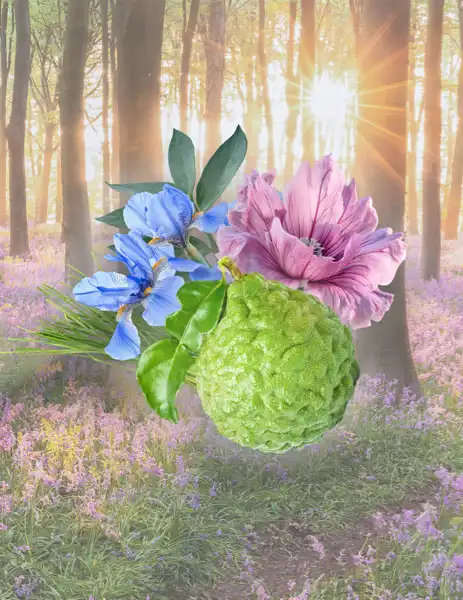 Sweet Spring Musk Clean Fragrance - Clean Fragrances